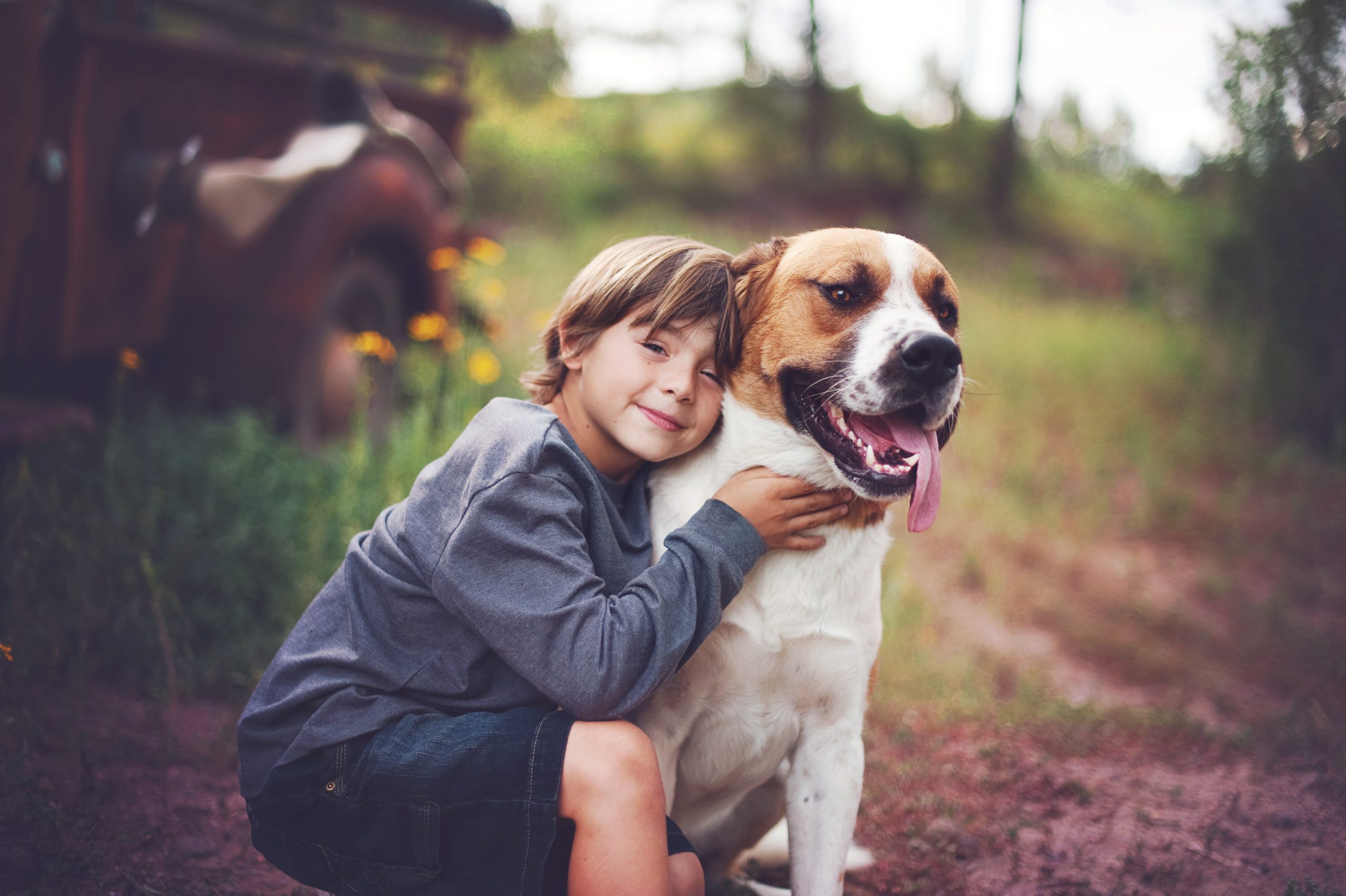 Boy and dog